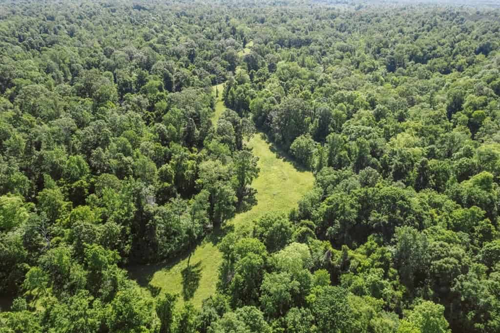1001 Travelers Rest Road