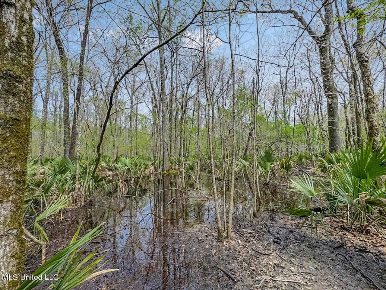 Affordable Deer/Duck Combination in Concordia Parish