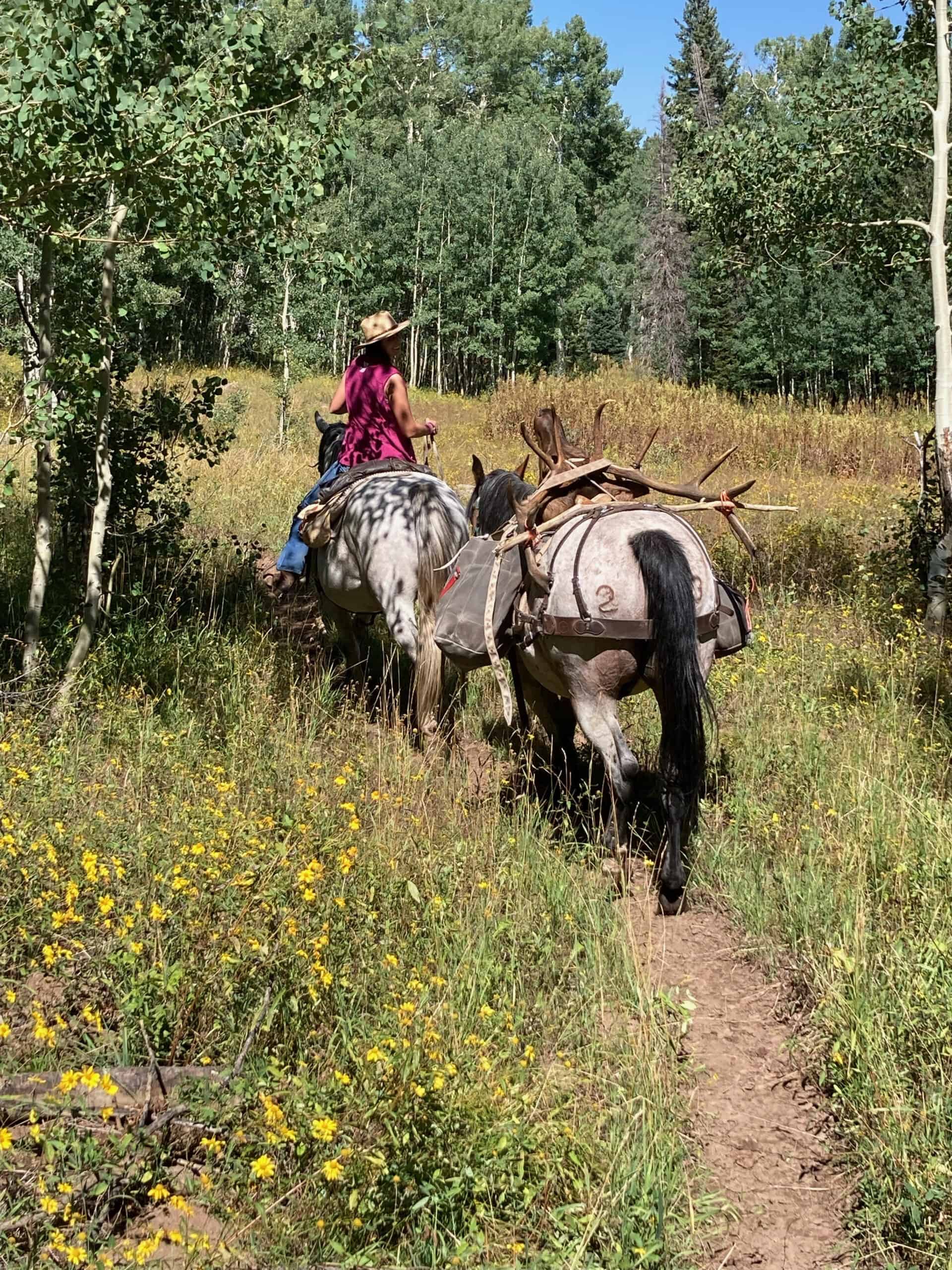 Colorado Outfitting Business for Sale Accessing National Forest