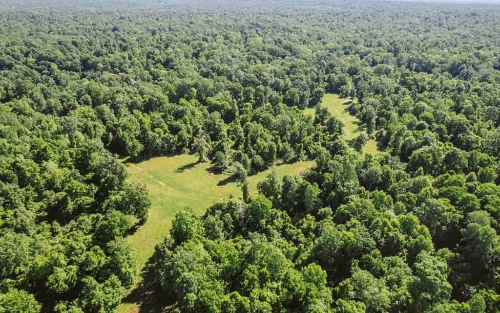 1001 Travelers Rest Road