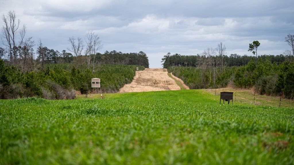Affordable Hunting Property in Amite County
