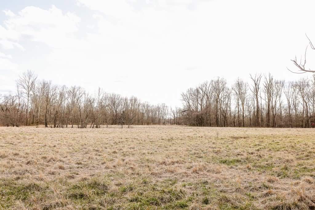 Land for Sale in Warren County, MS