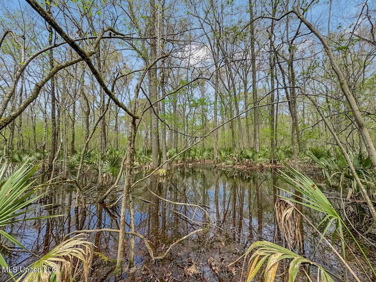 Affordable Deer/Duck Combination in Concordia Parish