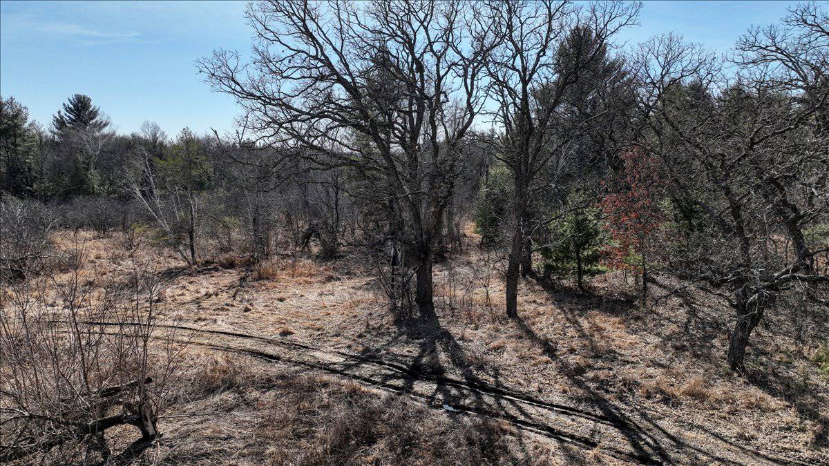 Premier Hunting and Recreational Property in Monroe County