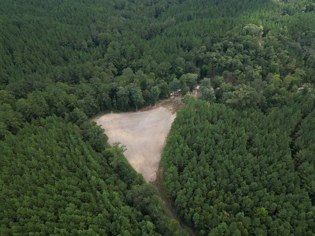 Hunting Lodge with Waterfall in Wilkinson County, MS