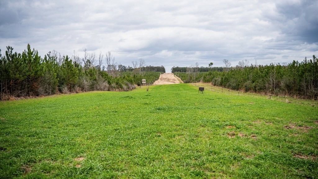 Affordable Hunting Property in Amite County