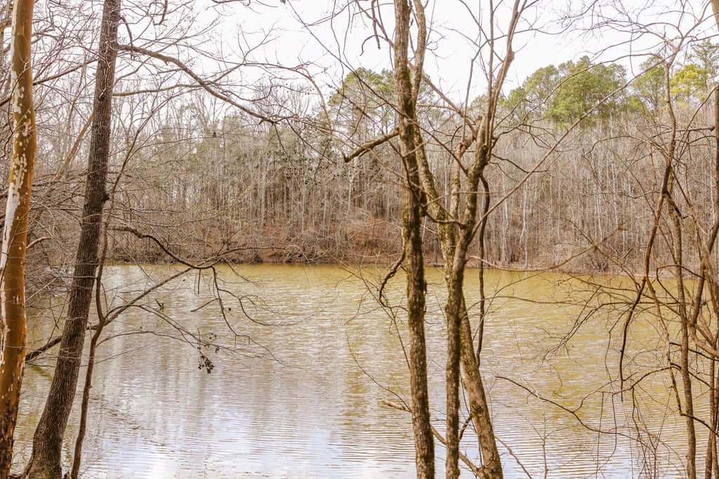 Land for Sale in Warren County, MS