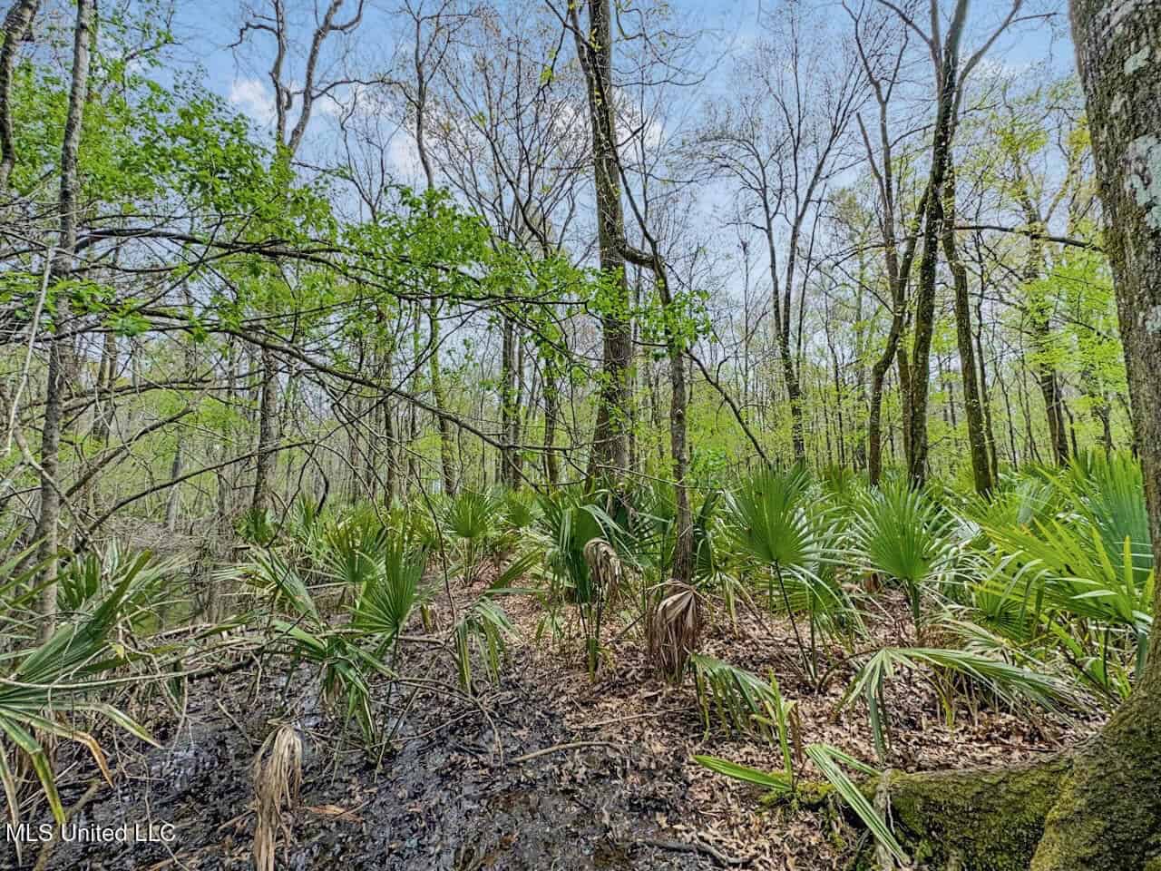 Affordable Deer/Duck Combination in Concordia Parish