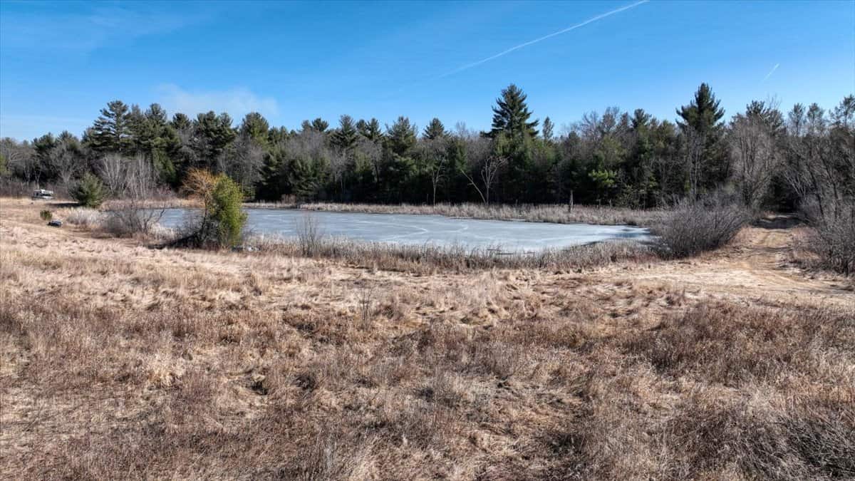 Premier Hunting and Recreational Property in Monroe County