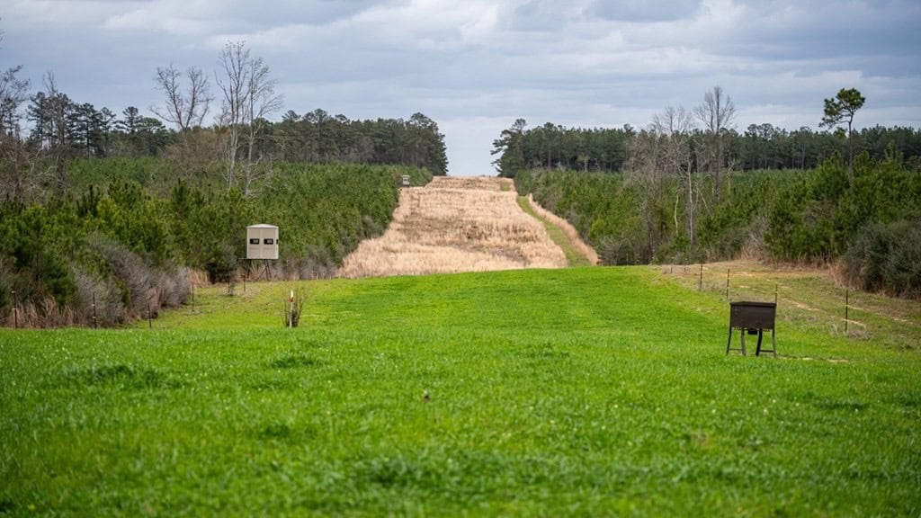 Affordable Hunting Property in Amite County