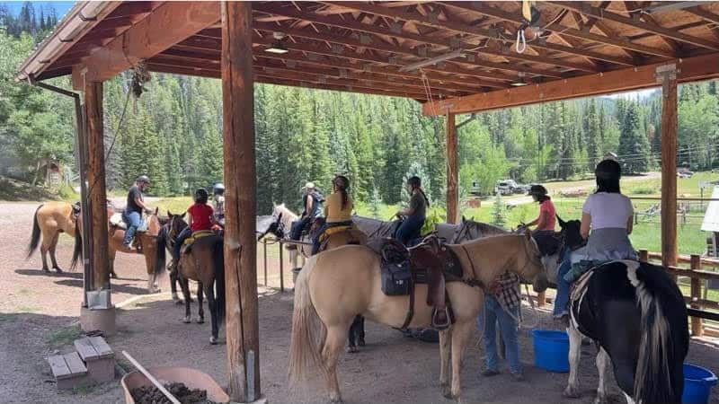 Colorado Outfitting Business for Sale Accessing National Forest