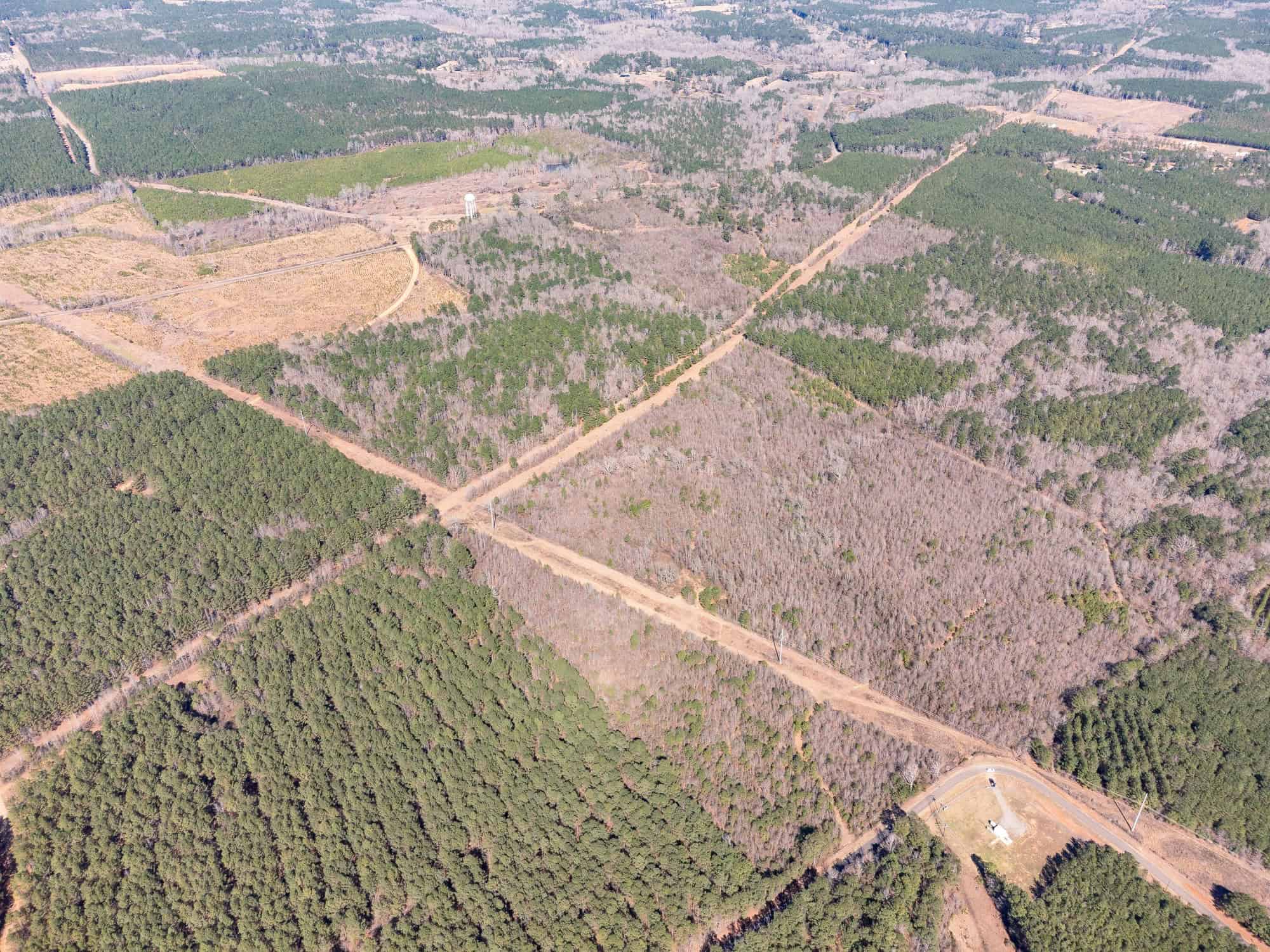 Woodville 54 – SW Lincoln Parish Timber Tract