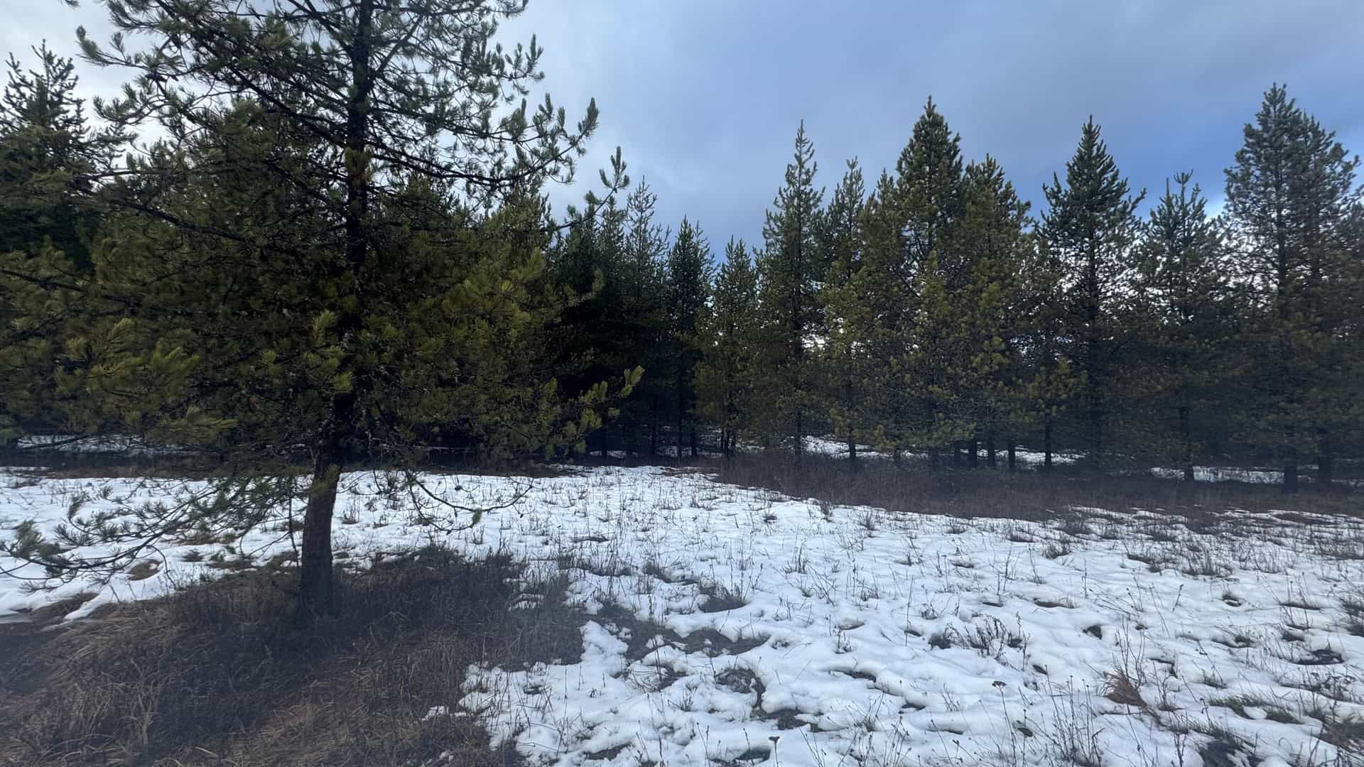 Land for Sale near Orofino in Clearwater County, Idaho