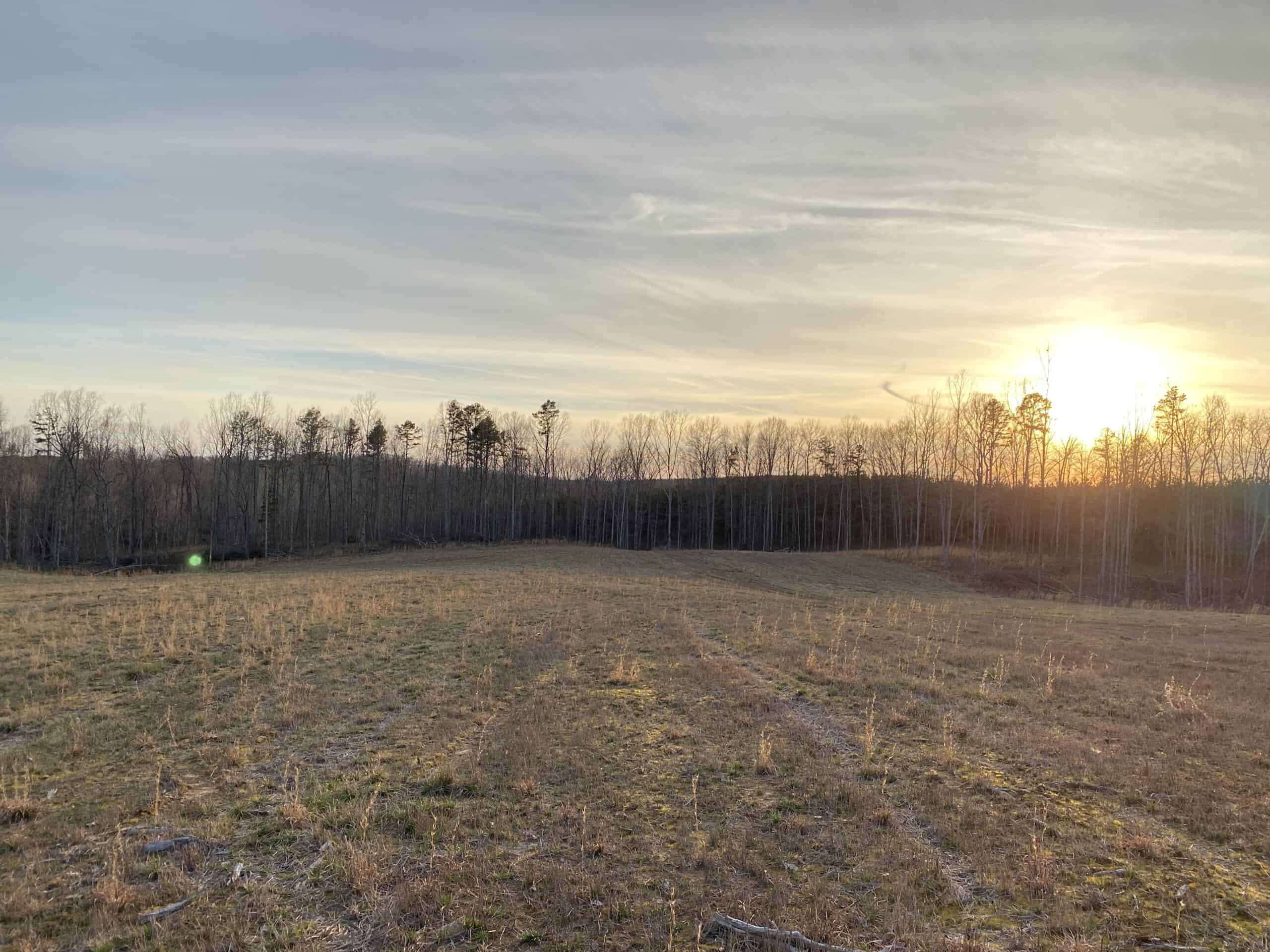 HUNTING PROPERTY FOR SALE IN TN, ROCK BOTTOM CREEKS & 5 FIELDS