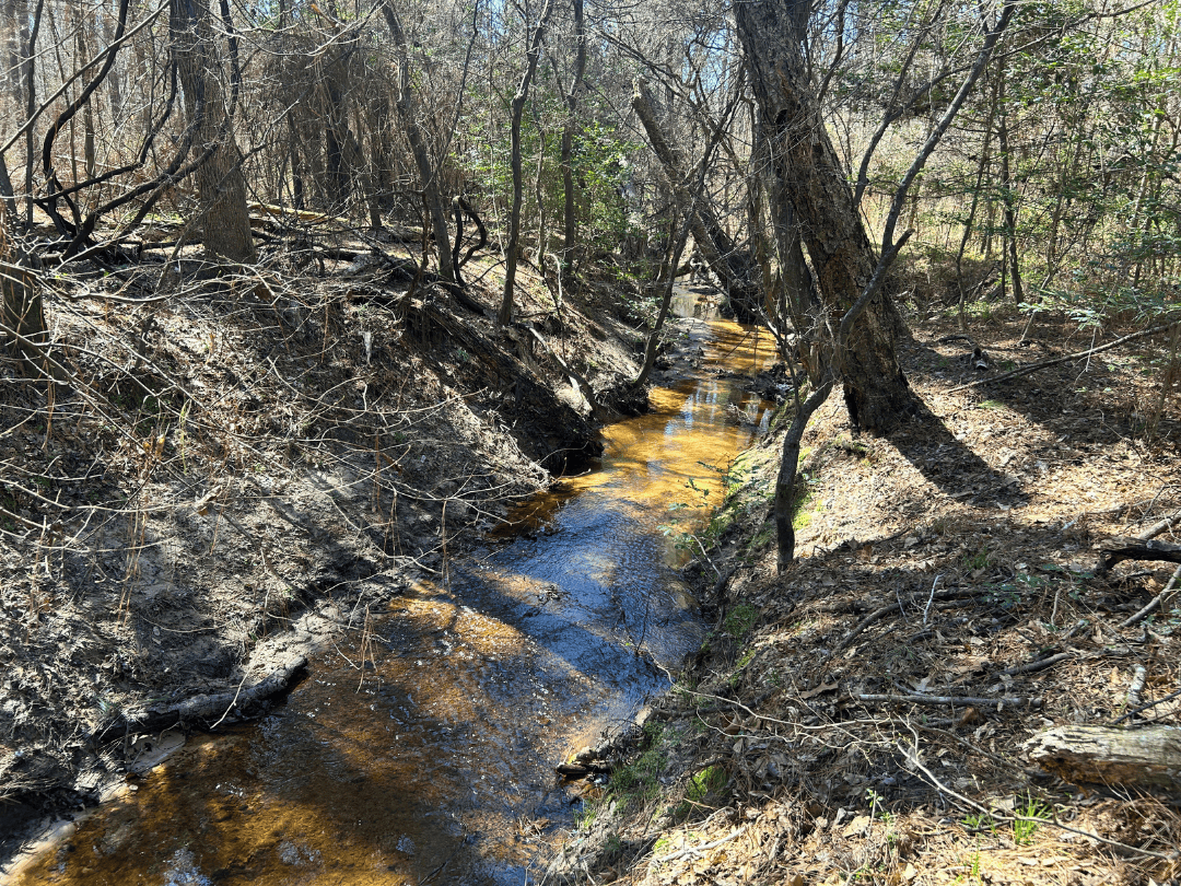 East Texas Timberland and Recreational Tract