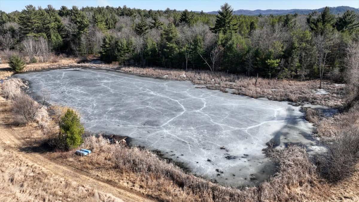 Premier Hunting and Recreational Property in Monroe County