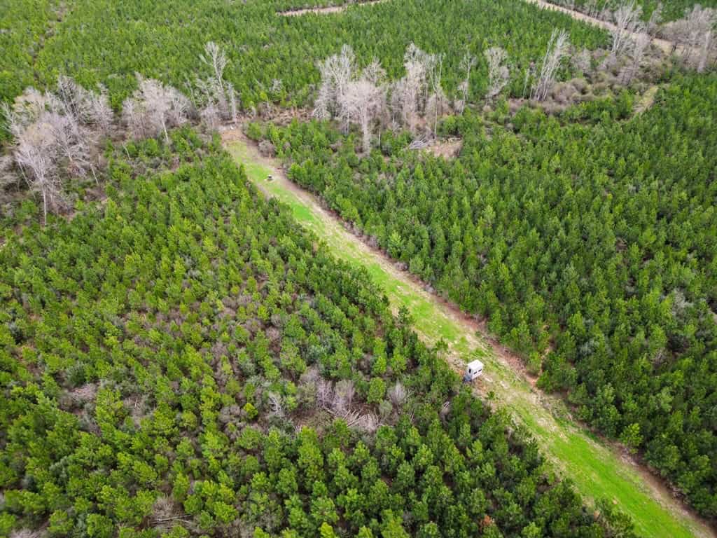 Affordable Hunting Property in Amite County