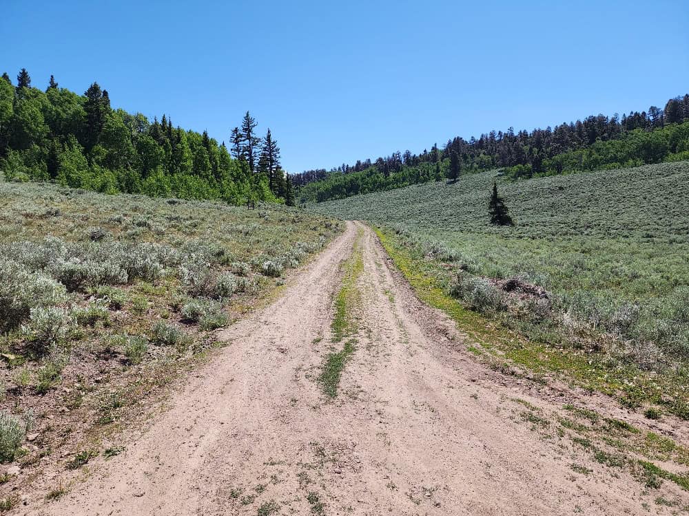 40 Acres in Powderhorn, CO
