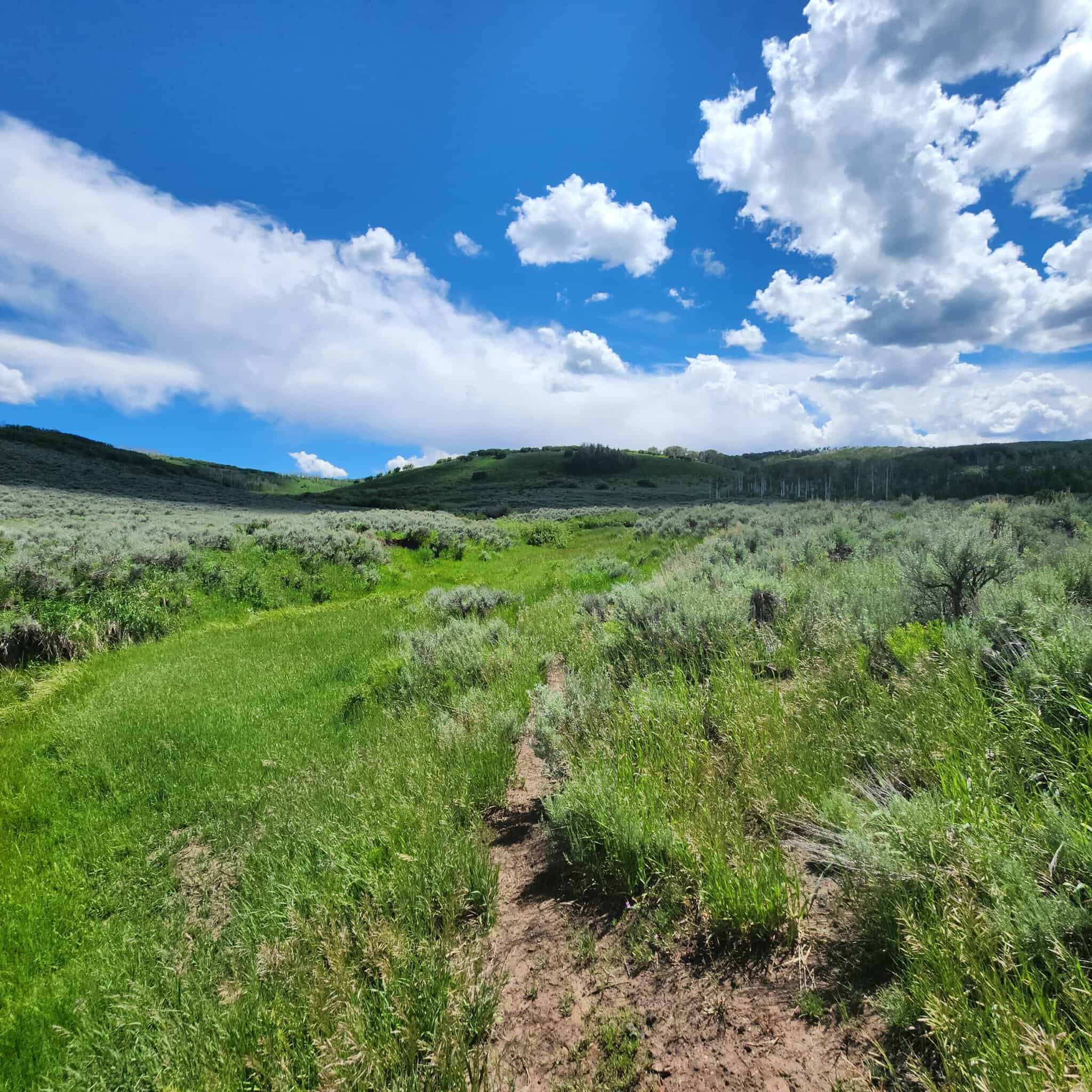 Colorado Hunting Property for Sale