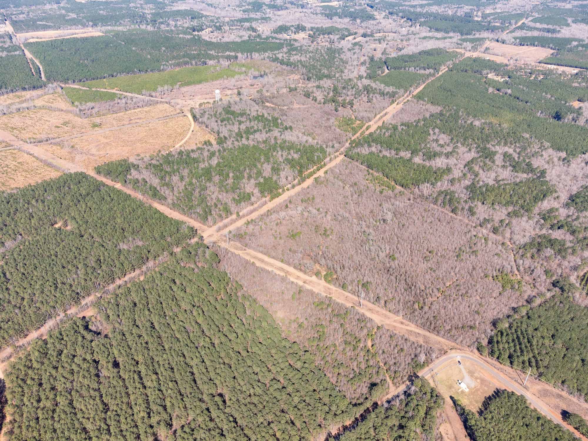 Woodville 101 – SW Lincoln Parish Timber Tract
