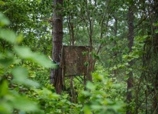 Premier East Texas Hunting & Timberland for Sale – 699 Acres in Ben Wheeler, TX