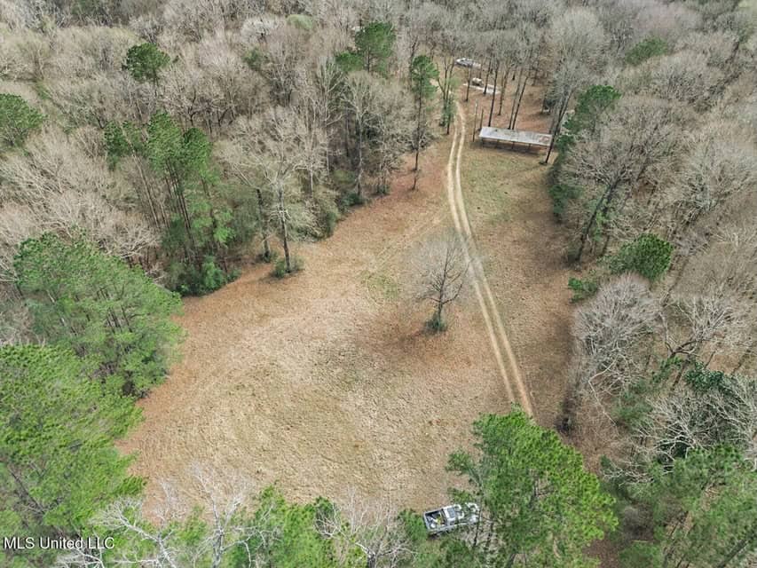 20 Acres and Cabin Adjoining Homochitto National Forest