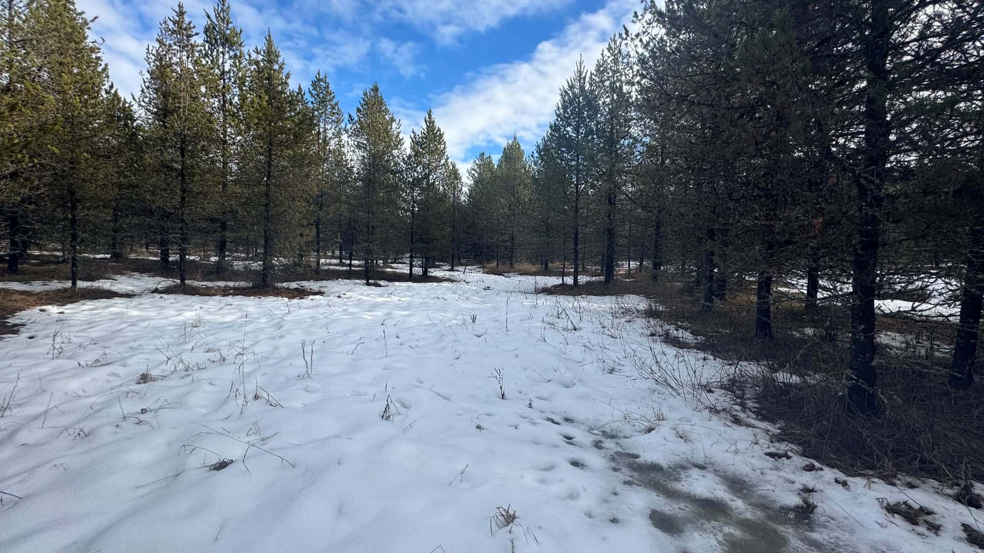 Land for Sale in Orofino, Idaho