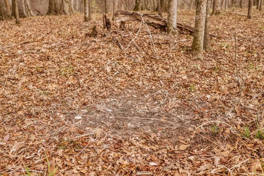 Land for Sale in Warren County, MS