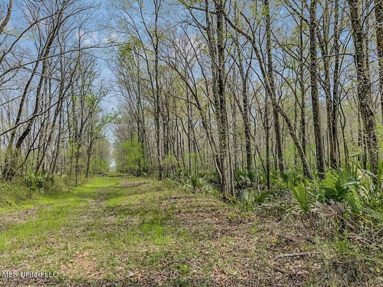 Affordable Deer/Duck Combination in Concordia Parish