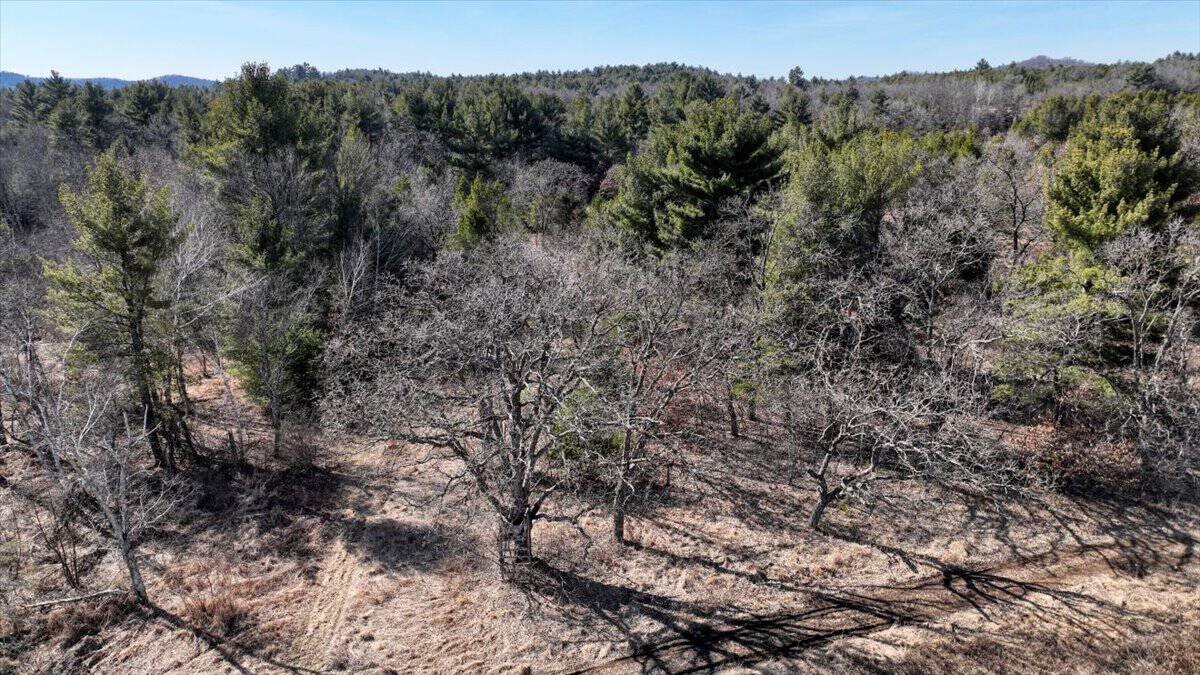 Premier Hunting and Recreational Property in Monroe County