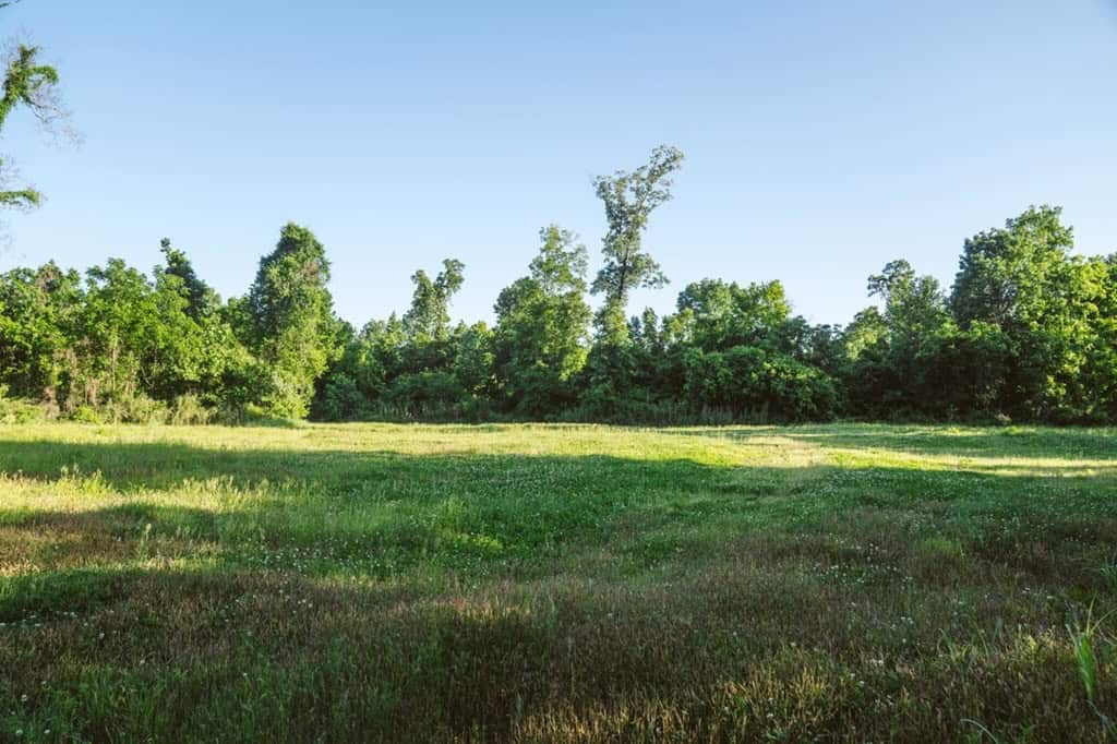 1001 Travelers Rest Road