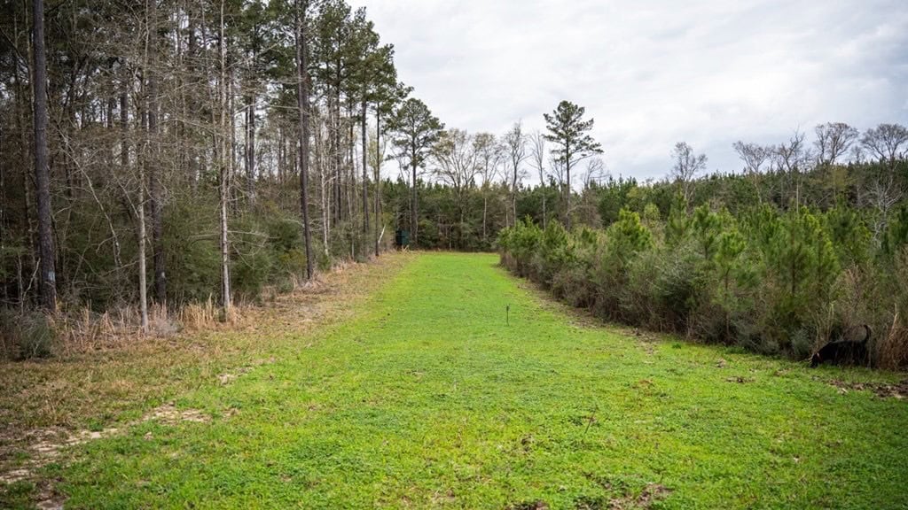 Affordable Hunting Property in Amite County
