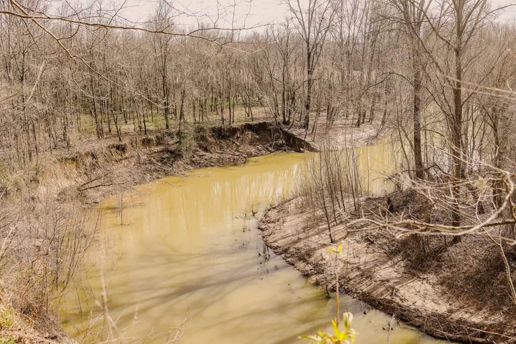 Land for Sale in Warren County, MS