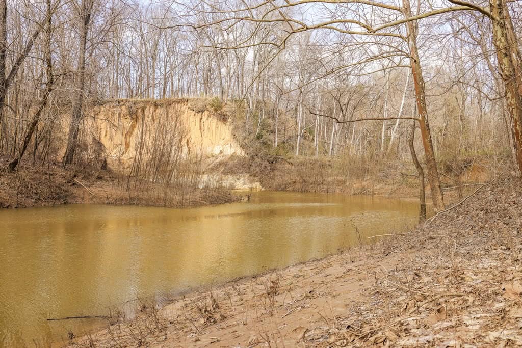 Land for Sale in Warren County, MS