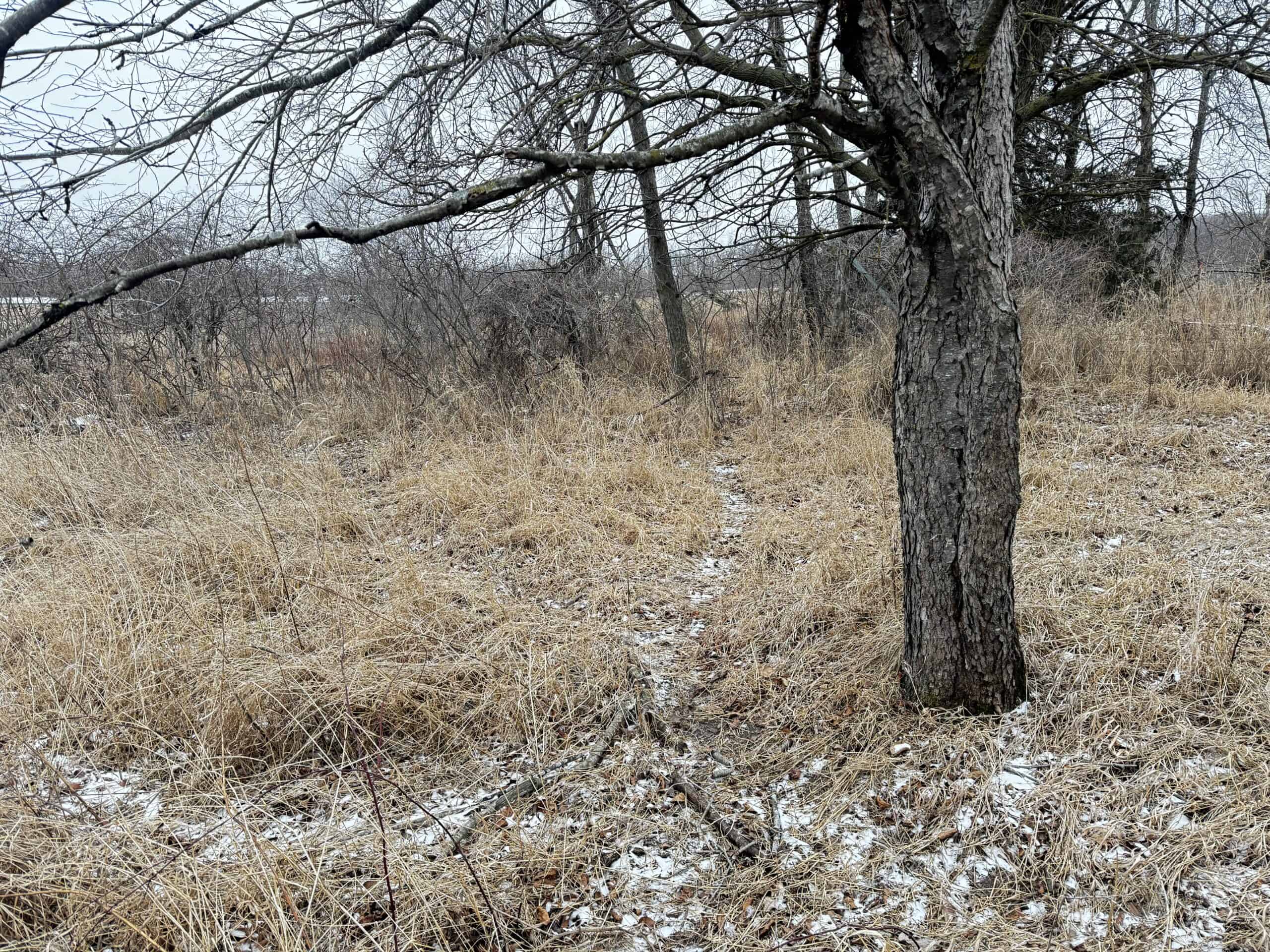 40-acre gem in Marquette County, Wisconsin