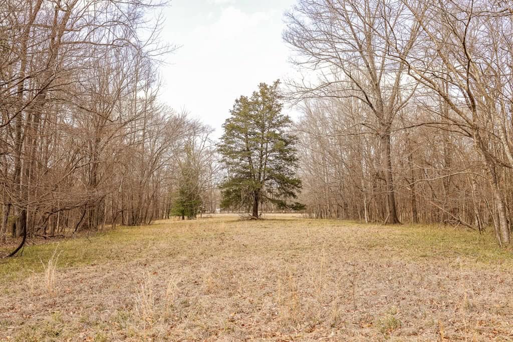 Land for Sale in Warren County, MS