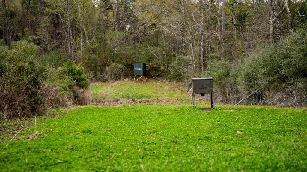 Affordable Hunting Property in Amite County