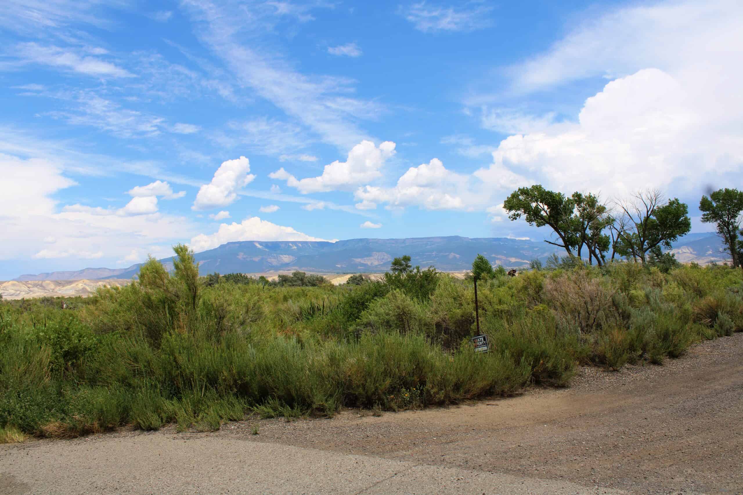 115 acres near Grand Mesa National Forest