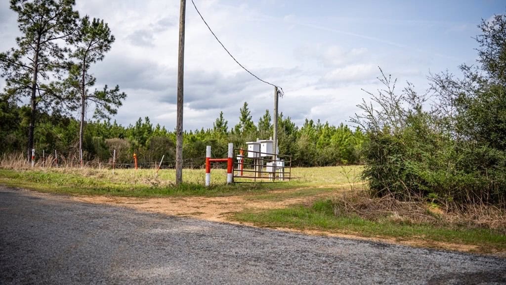 Affordable Hunting Property in Amite County