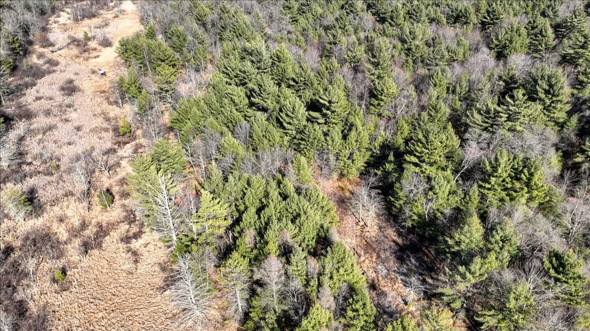 Premier Hunting and Recreational Property in Monroe County