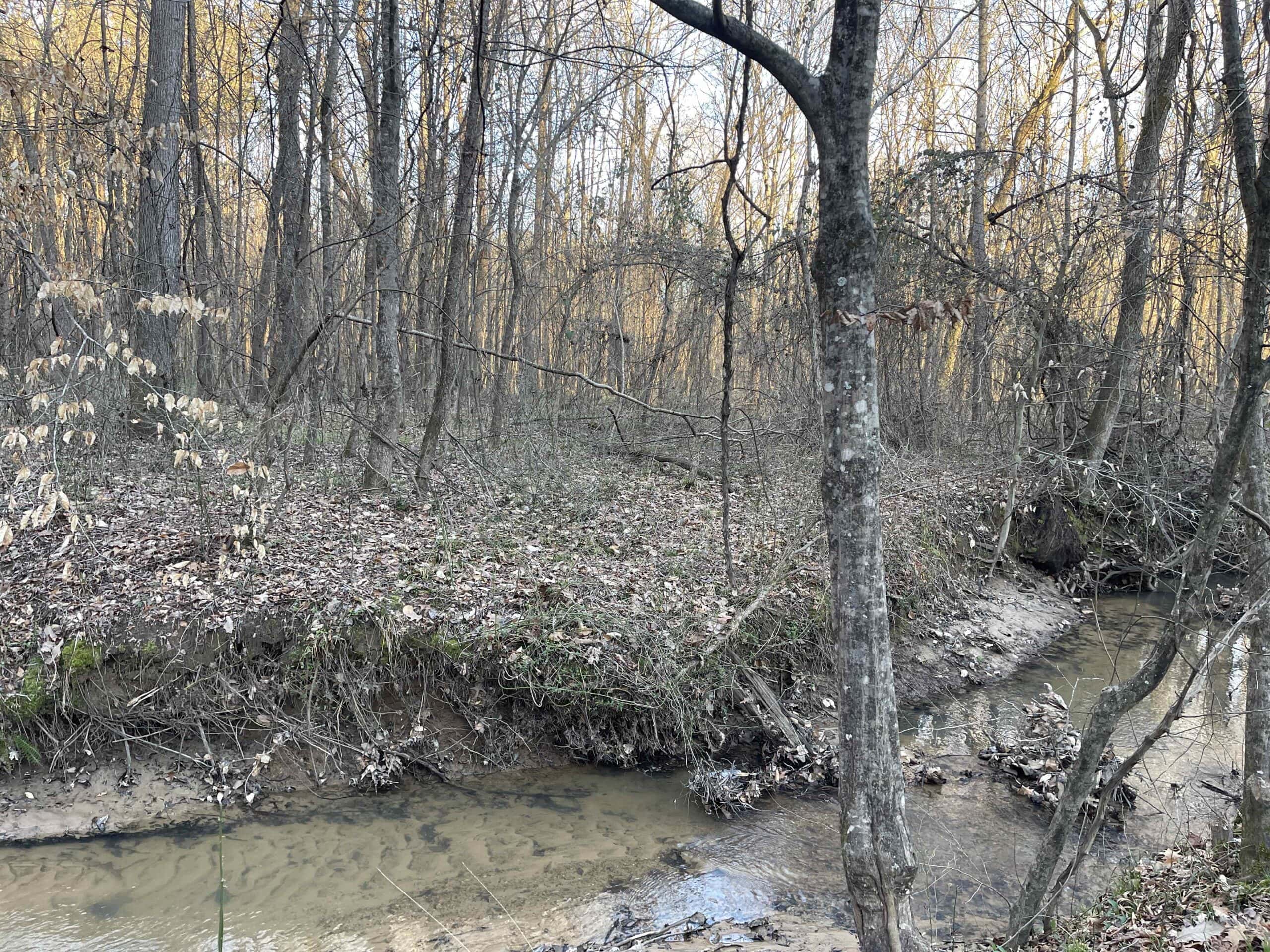 HUNTING LAND FOR SALE NEAR TN RIVER WITH CREEK 154.16Acres