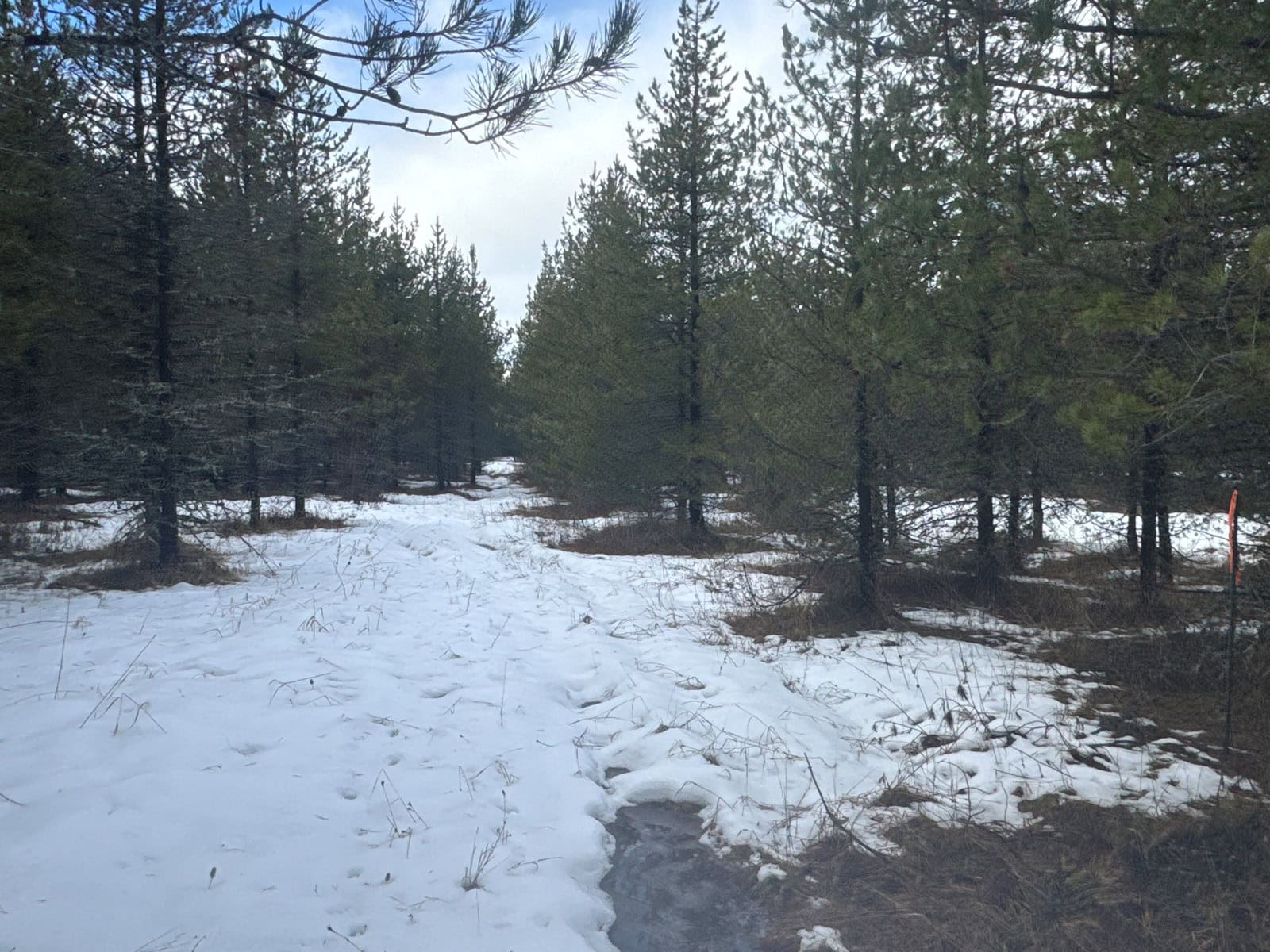 Land for Sale near Orofino in Clearwater County, Idaho