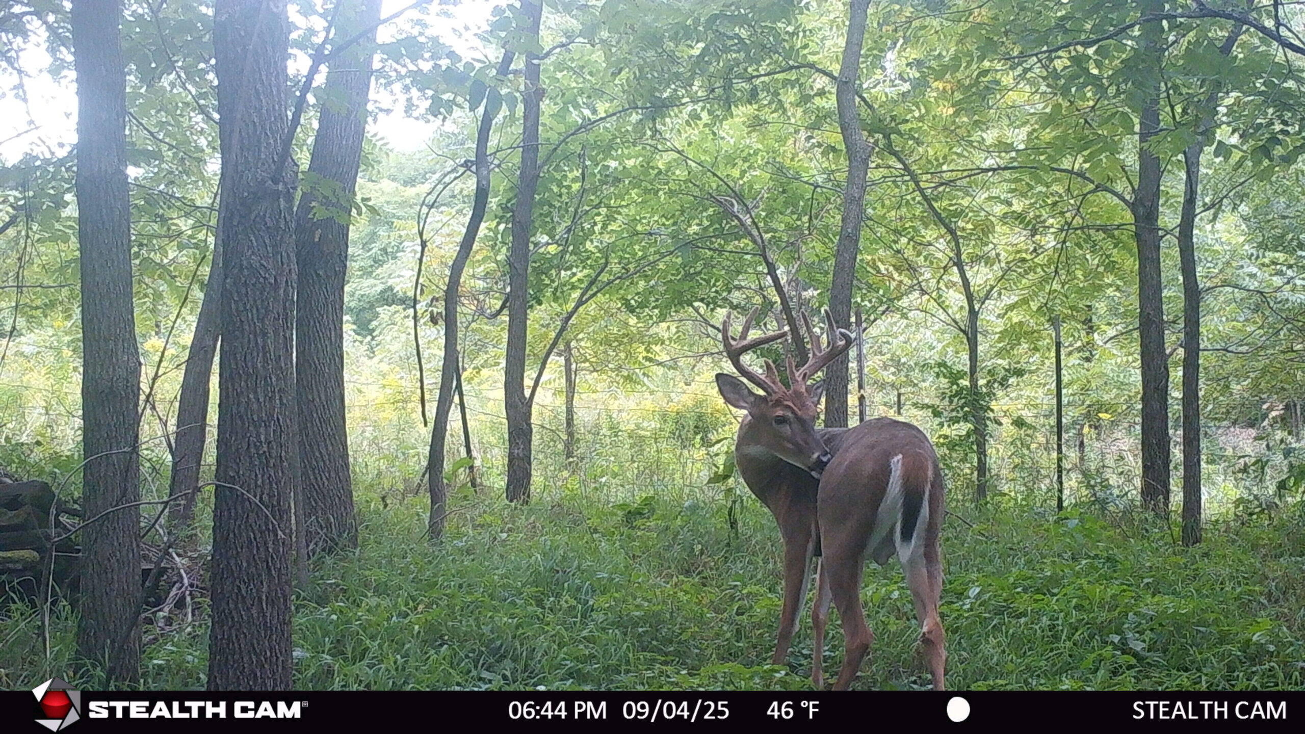 40-acre gem in Marquette County, Wisconsin