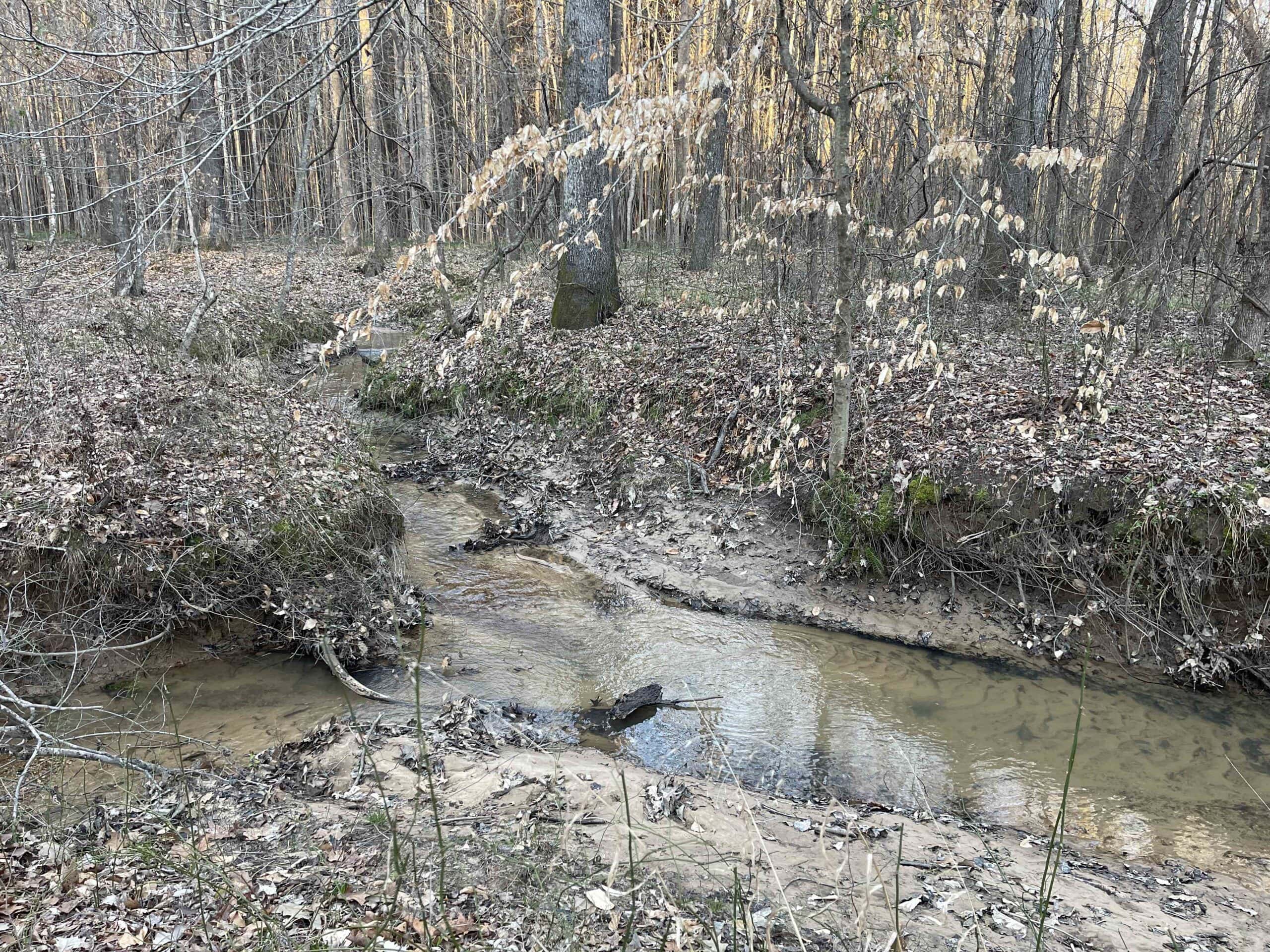 HUNTING LAND FOR SALE NEAR TN RIVER WITH CREEK 154.16Acres
