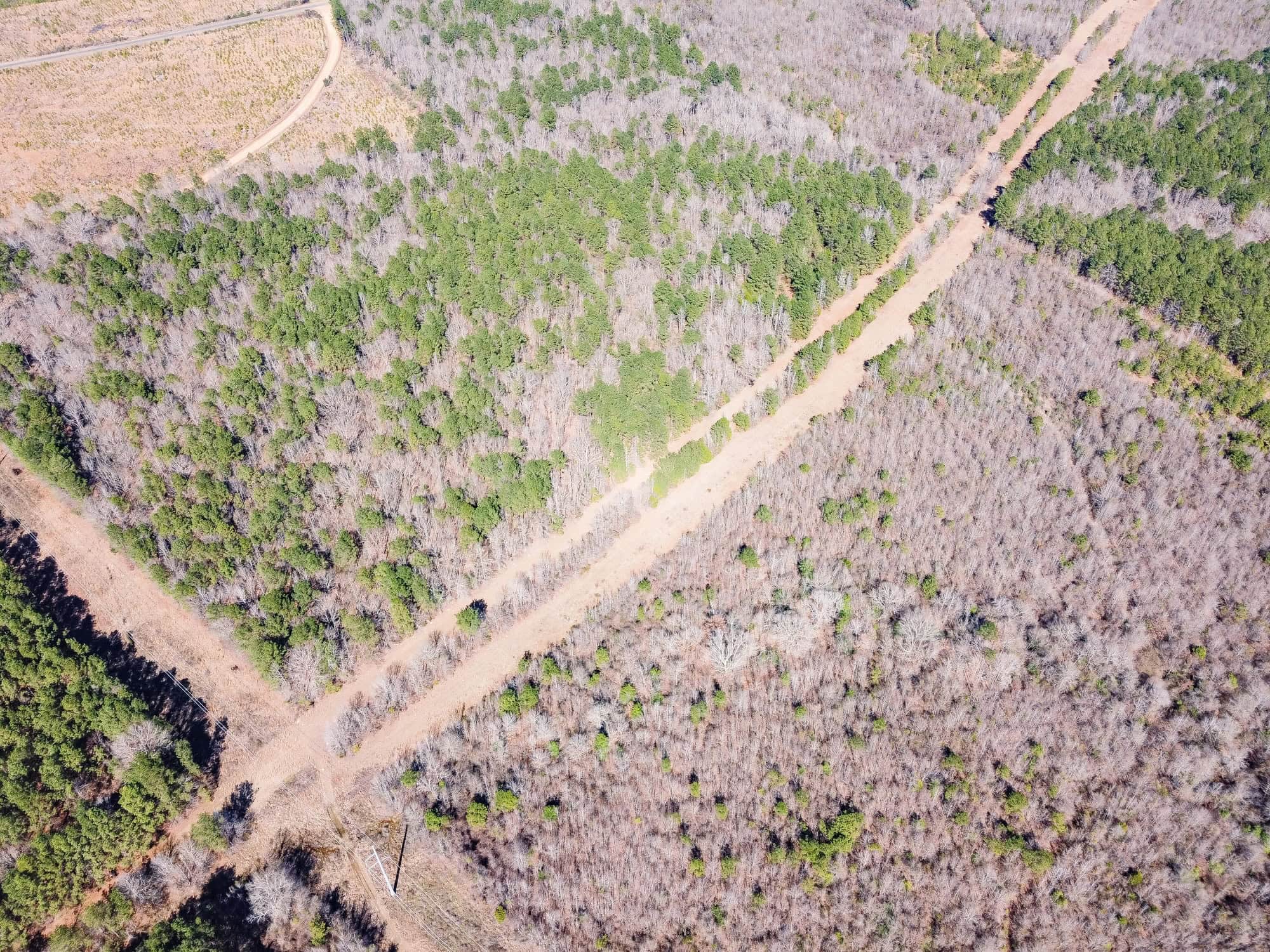 Woodville 45 – SW Lincoln Parish Timber Tract