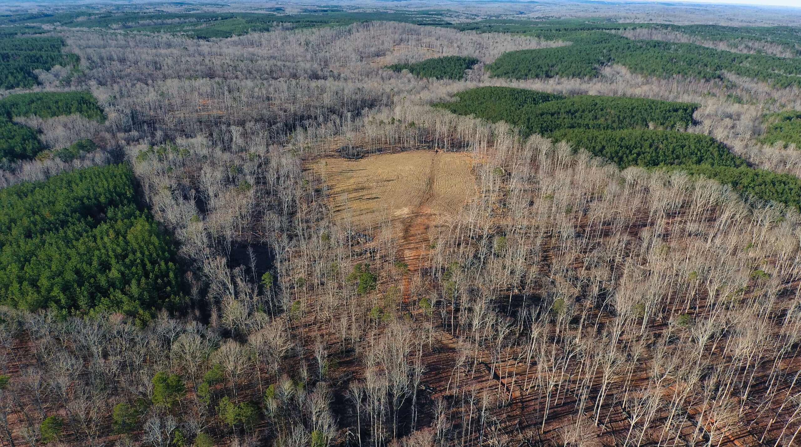 HUNTING PROPERTY FOR SALE IN TN, ROCK BOTTOM CREEKS & 5 FIELDS