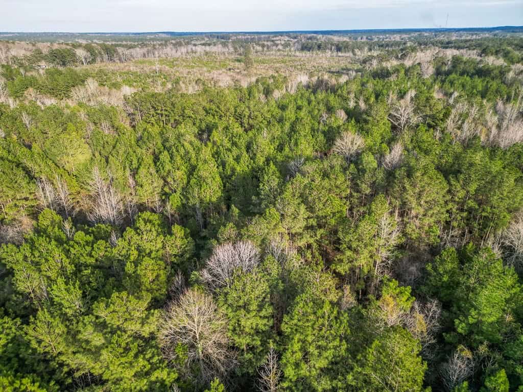 Land for Sale in Amite County, MS