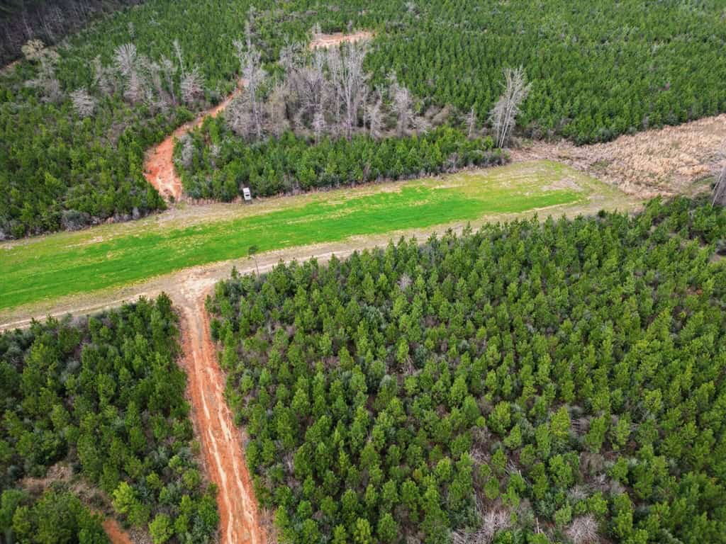Affordable Hunting Property in Amite County