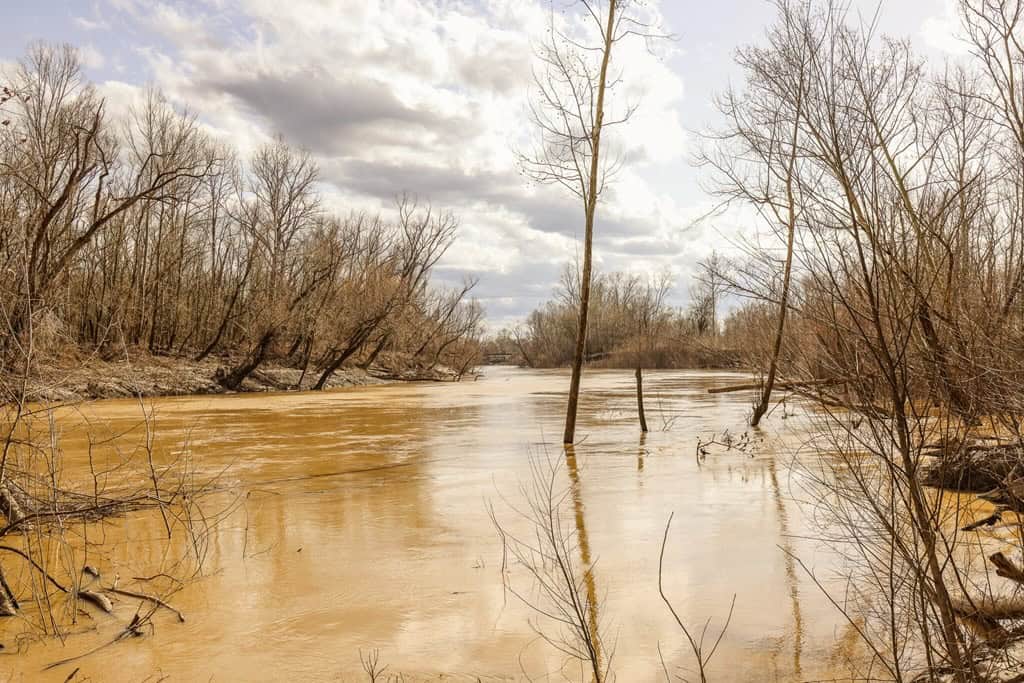 Land for Sale in Warren County, MS