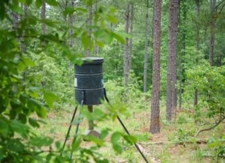 Premier East Texas Hunting & Timberland for Sale – 699 Acres in Ben Wheeler, TX